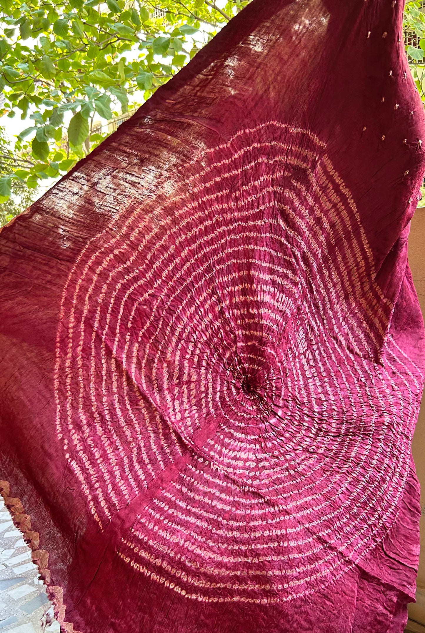 Wine Modal Bandhini saree