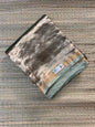 Pure Banarasi Tissue Saree in Gold & Sea Green